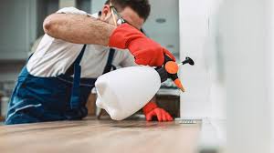 Best Real Estate Pest Inspections  in Derby, CO